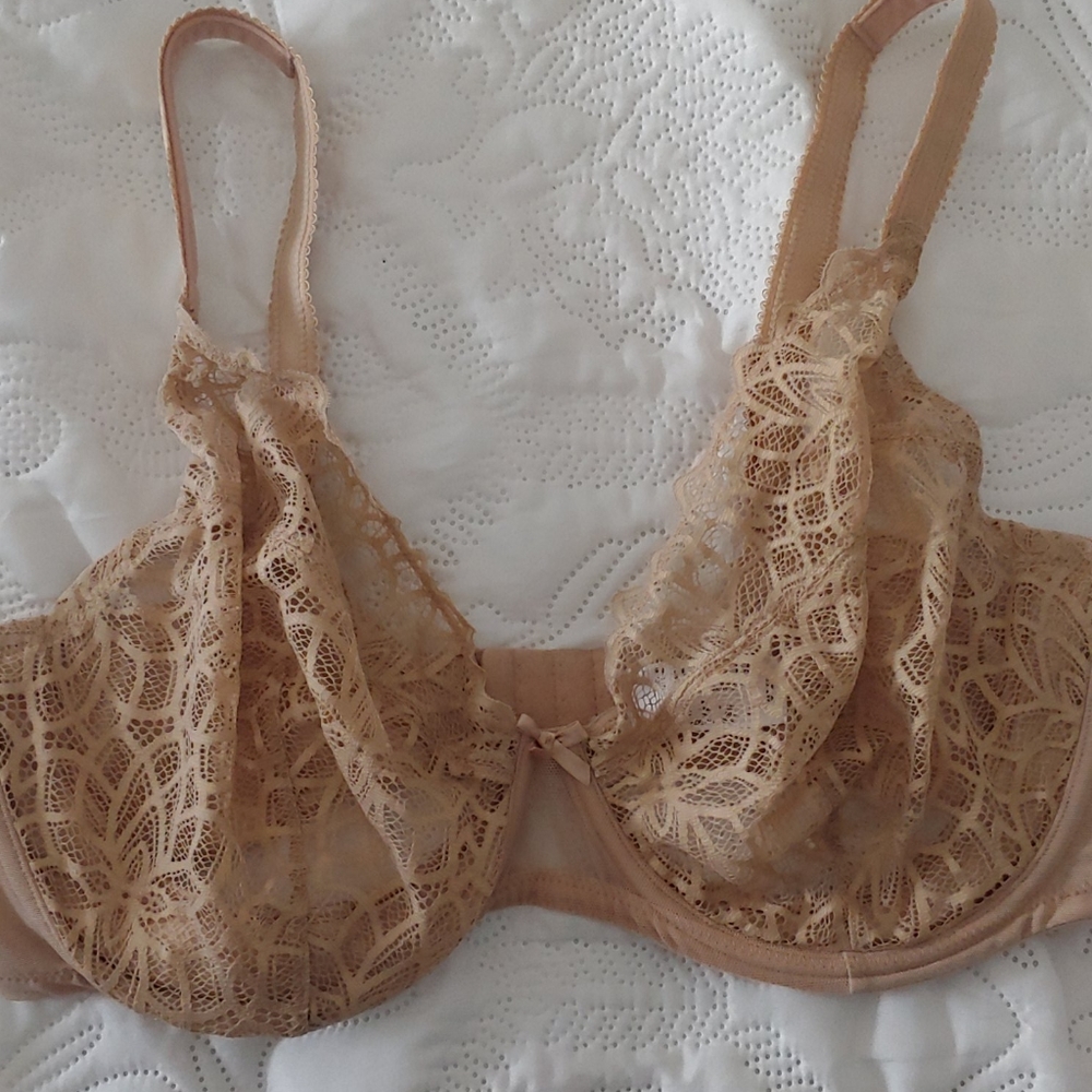 Glamorise plus sized bra, 40F